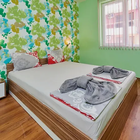 Dimitrovi 公寓 帕莫瑞