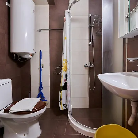 Dimitrovi 公寓 帕莫瑞